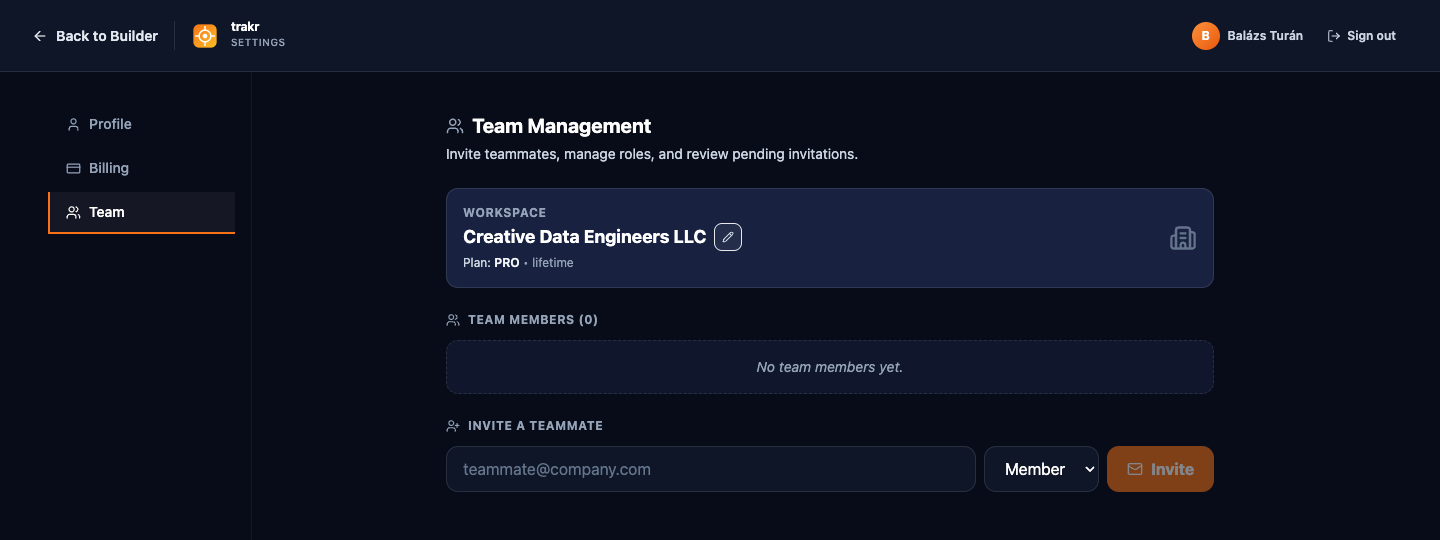 The Team page with the workspace card, members list, and invite form